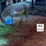 ヒメ日記 2026/03/05 16:33 投稿 碧音 熟女の風俗最終章 横浜本店