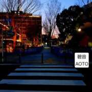 ヒメ日記 2026/03/05 20:54 投稿 碧音 熟女の風俗最終章 横浜本店