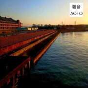 ヒメ日記 2026/03/06 05:34 投稿 碧音 熟女の風俗最終章 横浜本店