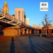 ヒメ日記 2026/03/07 07:58 投稿 碧音 熟女の風俗最終章 横浜本店