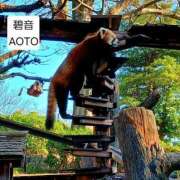 ヒメ日記 2026/03/07 11:58 投稿 碧音 熟女の風俗最終章 横浜本店