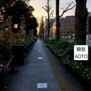 ヒメ日記 2026/03/09 06:04 投稿 碧音 熟女の風俗最終章 横浜本店