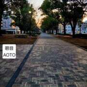 ヒメ日記 2026/03/09 10:24 投稿 碧音 熟女の風俗最終章 横浜本店