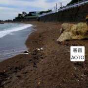 ヒメ日記 2026/03/10 05:44 投稿 碧音 熟女の風俗最終章 横浜本店