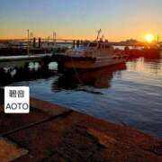 ヒメ日記 2026/03/11 10:44 投稿 碧音 熟女の風俗最終章 横浜本店