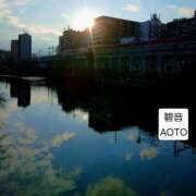 ヒメ日記 2026/03/11 16:41 投稿 碧音 熟女の風俗最終章 横浜本店