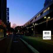 ヒメ日記 2026/03/11 17:54 投稿 碧音 熟女の風俗最終章 横浜本店