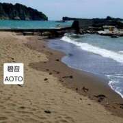 ヒメ日記 2026/03/13 06:44 投稿 碧音 熟女の風俗最終章 横浜本店