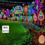 ヒメ日記 2026/03/15 19:34 投稿 碧音 熟女の風俗最終章 横浜本店