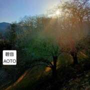 ヒメ日記 2026/03/16 15:24 投稿 碧音 熟女の風俗最終章 横浜本店