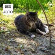 ヒメ日記 2026/03/20 10:06 投稿 碧音 熟女の風俗最終章 横浜本店