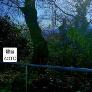 ヒメ日記 2026/03/20 21:34 投稿 碧音 熟女の風俗最終章 横浜本店