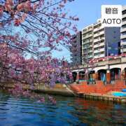 ヒメ日記 2026/03/22 11:54 投稿 碧音 熟女の風俗最終章 横浜本店