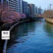 ヒメ日記 2026/03/22 17:13 投稿 碧音 熟女の風俗最終章 横浜本店