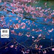 ヒメ日記 2026/03/24 05:44 投稿 碧音 熟女の風俗最終章 横浜本店