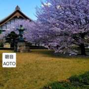 ヒメ日記 2026/03/24 14:44 投稿 碧音 熟女の風俗最終章 横浜本店