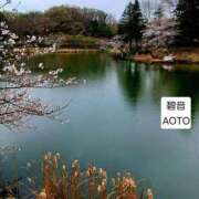 ヒメ日記 2026/03/25 15:45 投稿 碧音 熟女の風俗最終章 横浜本店