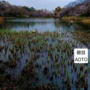 ヒメ日記 2026/03/26 07:24 投稿 碧音 熟女の風俗最終章 横浜本店