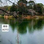 ヒメ日記 2026/03/26 09:11 投稿 碧音 熟女の風俗最終章 横浜本店