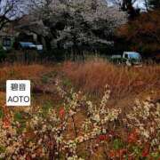ヒメ日記 2026/03/26 10:24 投稿 碧音 熟女の風俗最終章 横浜本店