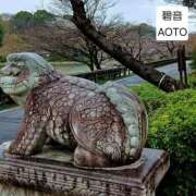 ヒメ日記 2026/03/26 12:21 投稿 碧音 熟女の風俗最終章 横浜本店