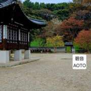 ヒメ日記 2026/03/26 13:10 投稿 碧音 熟女の風俗最終章 横浜本店