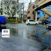 ヒメ日記 2026/03/26 16:14 投稿 碧音 熟女の風俗最終章 横浜本店