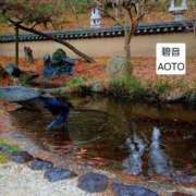 ヒメ日記 2026/03/26 17:04 投稿 碧音 熟女の風俗最終章 横浜本店