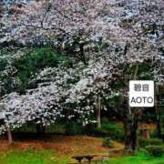 ヒメ日記 2026/03/27 06:34 投稿 碧音 熟女の風俗最終章 横浜本店