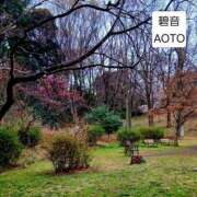 ヒメ日記 2026/03/27 10:19 投稿 碧音 熟女の風俗最終章 横浜本店