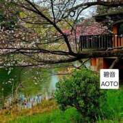 ヒメ日記 2026/03/28 06:24 投稿 碧音 熟女の風俗最終章 横浜本店