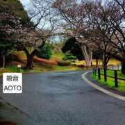 ヒメ日記 2026/03/28 09:04 投稿 碧音 熟女の風俗最終章 横浜本店