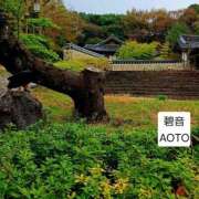 ヒメ日記 2026/03/28 18:24 投稿 碧音 熟女の風俗最終章 横浜本店