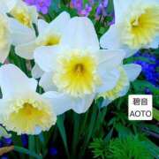 ヒメ日記 2026/03/28 21:34 投稿 碧音 熟女の風俗最終章 横浜本店