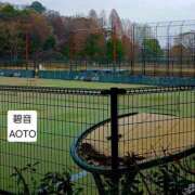 ヒメ日記 2026/03/30 11:14 投稿 碧音 熟女の風俗最終章 横浜本店