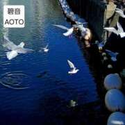 ヒメ日記 2026/03/30 15:04 投稿 碧音 熟女の風俗最終章 横浜本店