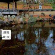 ヒメ日記 2026/04/02 07:14 投稿 碧音 熟女の風俗最終章 横浜本店