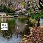 ヒメ日記 2026/04/02 07:34 投稿 碧音 熟女の風俗最終章 横浜本店