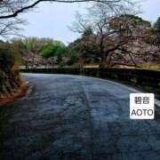 ヒメ日記 2026/04/02 10:34 投稿 碧音 熟女の風俗最終章 横浜本店