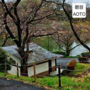 ヒメ日記 2026/04/02 23:23 投稿 碧音 熟女の風俗最終章 横浜本店