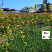 ヒメ日記 2026/04/04 06:44 投稿 碧音 熟女の風俗最終章 横浜本店