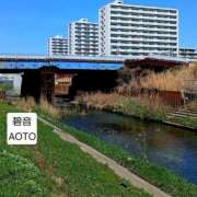 ヒメ日記 2026/04/05 08:01 投稿 碧音 熟女の風俗最終章 横浜本店