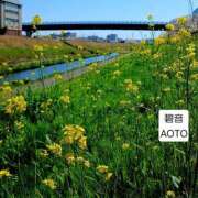 ヒメ日記 2026/04/08 06:24 投稿 碧音 熟女の風俗最終章 横浜本店