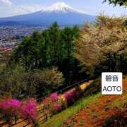 ヒメ日記 2026/04/08 10:54 投稿 碧音 熟女の風俗最終章 横浜本店