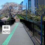 ヒメ日記 2026/04/08 15:14 投稿 碧音 熟女の風俗最終章 横浜本店