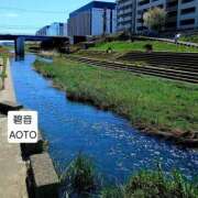 ヒメ日記 2026/04/08 16:58 投稿 碧音 熟女の風俗最終章 横浜本店