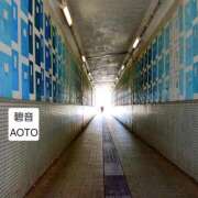 ヒメ日記 2026/04/08 18:24 投稿 碧音 熟女の風俗最終章 横浜本店