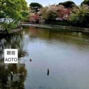 ヒメ日記 2026/04/10 05:41 投稿 碧音 熟女の風俗最終章 横浜本店