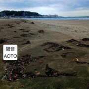 ヒメ日記 2026/04/10 06:14 投稿 碧音 熟女の風俗最終章 横浜本店