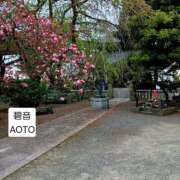 ヒメ日記 2026/04/10 11:06 投稿 碧音 熟女の風俗最終章 横浜本店